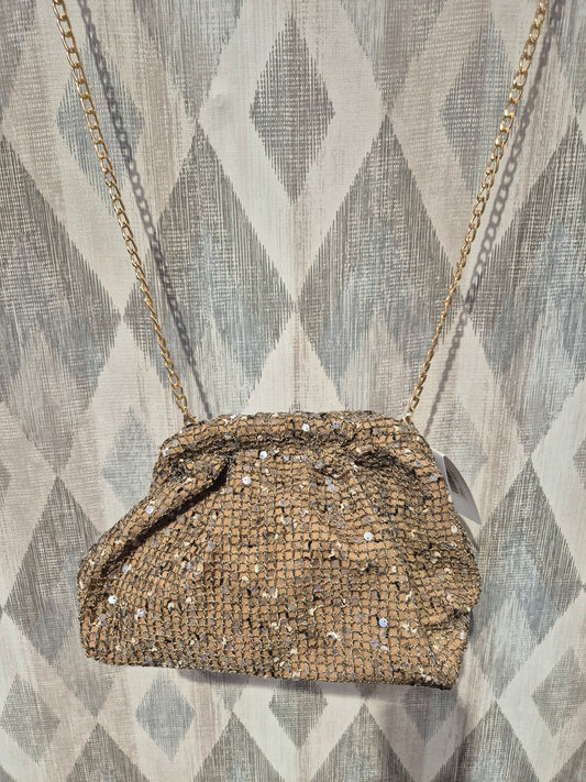 Bolso brillo